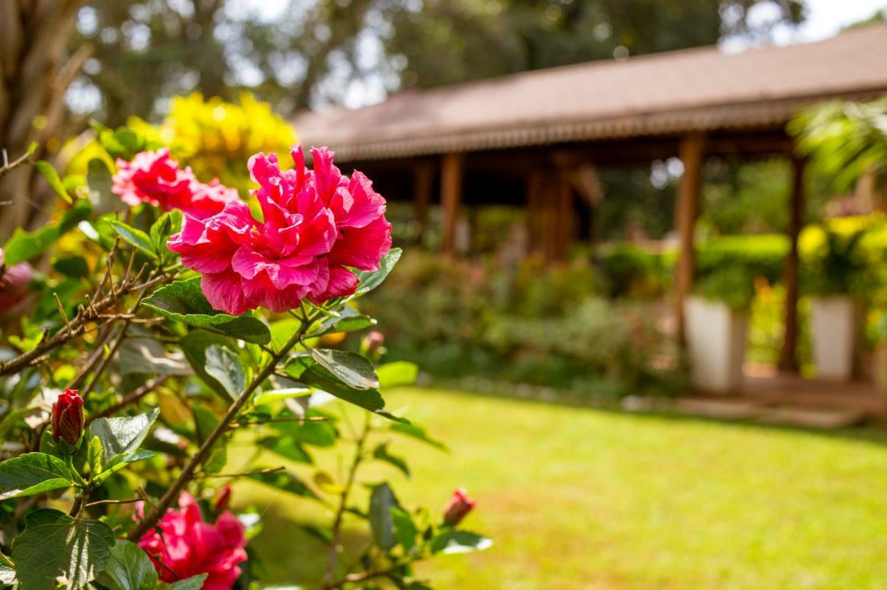 Kololo Hotel